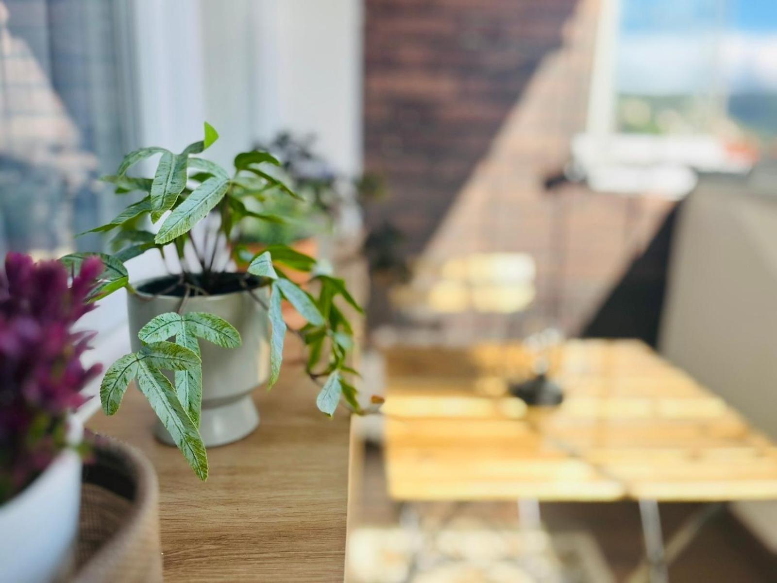 Mak Apartment - Free Parking - Balcony Saraybosna Dış mekan fotoğraf